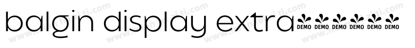balgin display extra字体转换